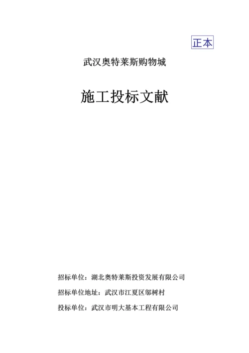 专项项目综合施工投优秀标书.docx