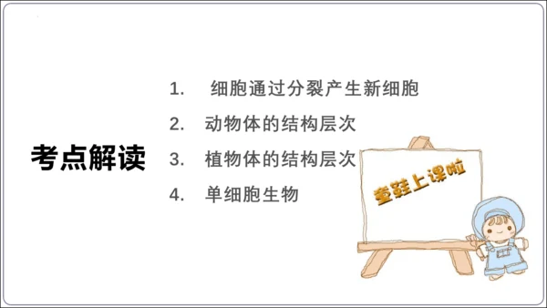 【2023秋人教七上生物期中复习考点梳理串讲+临考押题】第二章 细胞怎样构成生物体（串讲课件）(共2