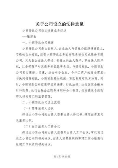 关于公司设立的法律意见 (2).docx