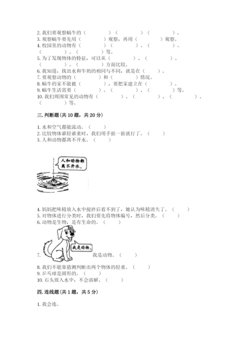 教科版一年级下册科学期末测试卷精品【黄金题型】.docx