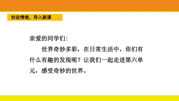 5 影子  课件