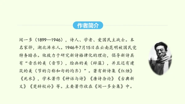 第13课 最后一次讲演 统编版语文八年级下册 同步精品课件
