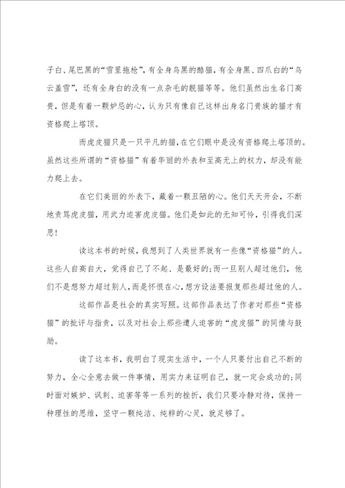 塔顶上的猫读后感读书体会600字五篇