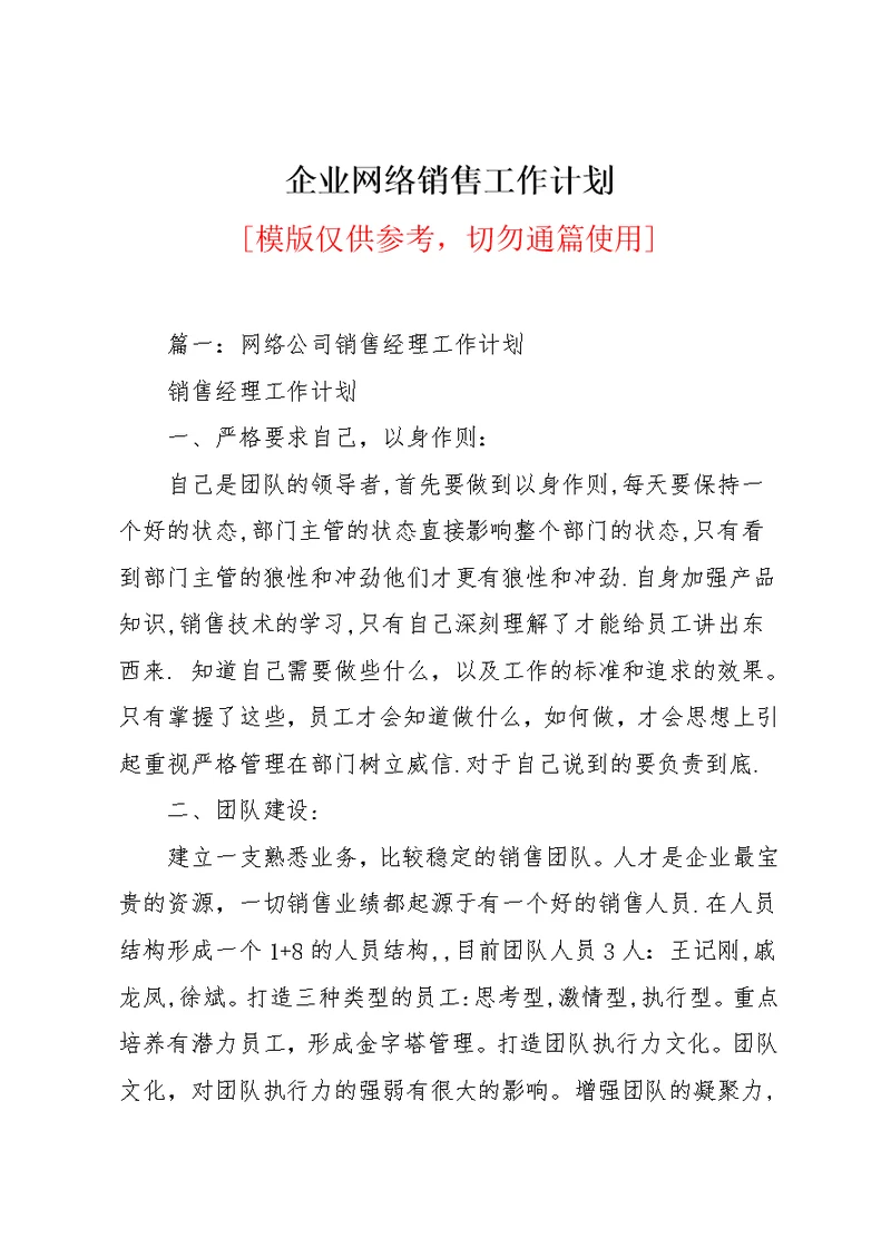 企业网络销售工作计划(共12页)