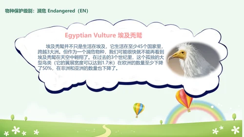 世界动物日小动物集合PPT模板