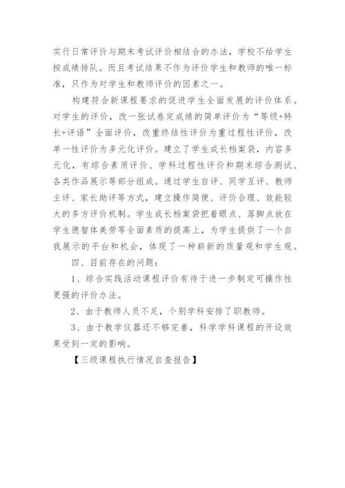三级课程执行情况自查报告.docx