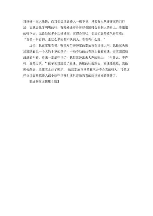 泰迪狗作文锦集9篇.docx