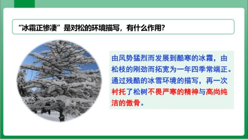 第3单元课外古诗词诵读赠从弟（其二）（课件）【2023秋统编八上语文高效实用备课】(共16张PPT)