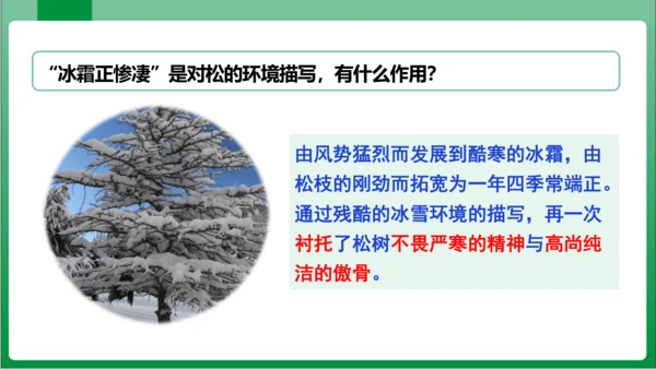 第3单元课外古诗词诵读赠从弟（其二）（课件）【2023秋统编八上语文高效实用备课】(共16张PPT)