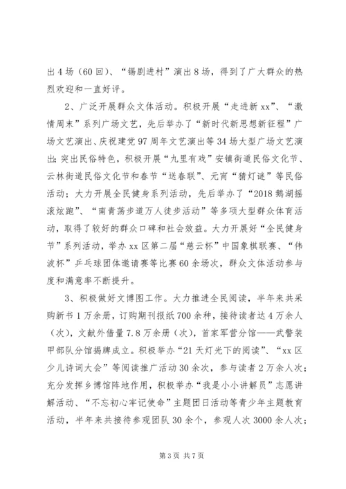 文体局XX年上半年度工作总结和下半年度工作计划.docx
