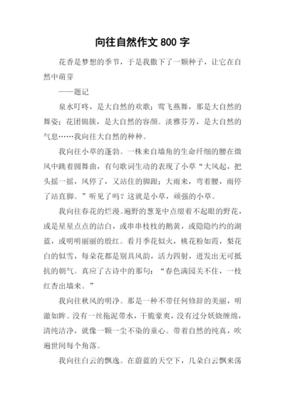 向往自然作文800字.docx