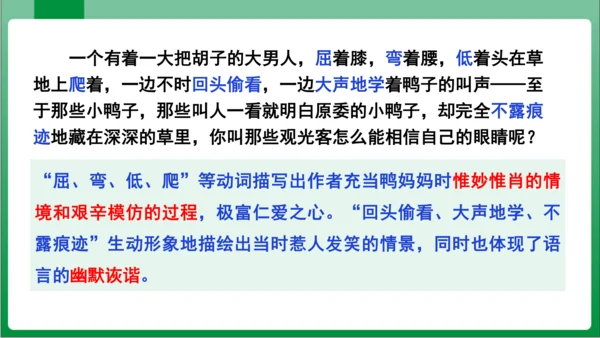 17.动物笑谈（课件）【2023秋人教七上语文高效实用备课】(共33张PPT)