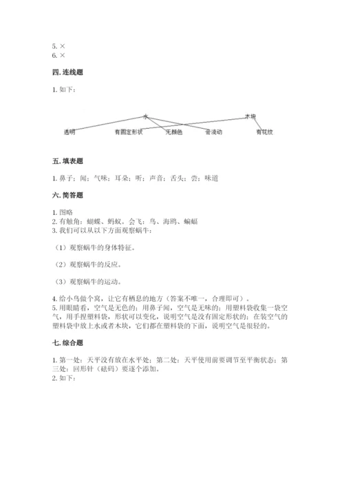 教科版一年级下册科学期末测试卷附参考答案【典型题】.docx