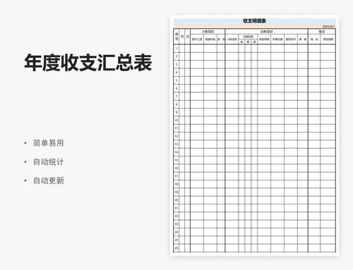 年度收支汇总表