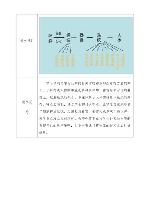 2.2.2动物体的结构层次教学设计
