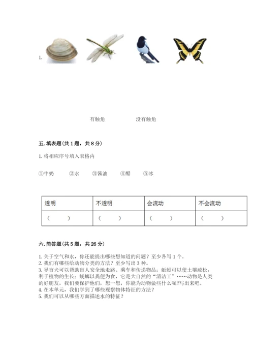 教科版小学科学一年级下册期末测试卷附完整答案【网校专用】.docx