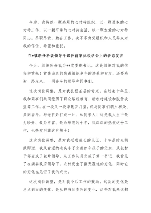 【讲话致辞】在镇新任科级领导干部任前集体谈话会上的表态发言汇编-5篇.docx