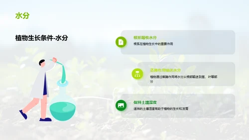 揭秘植物生长奇妙世界