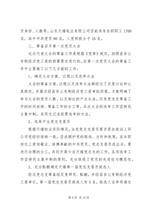 党支部筹备工作报告.docx