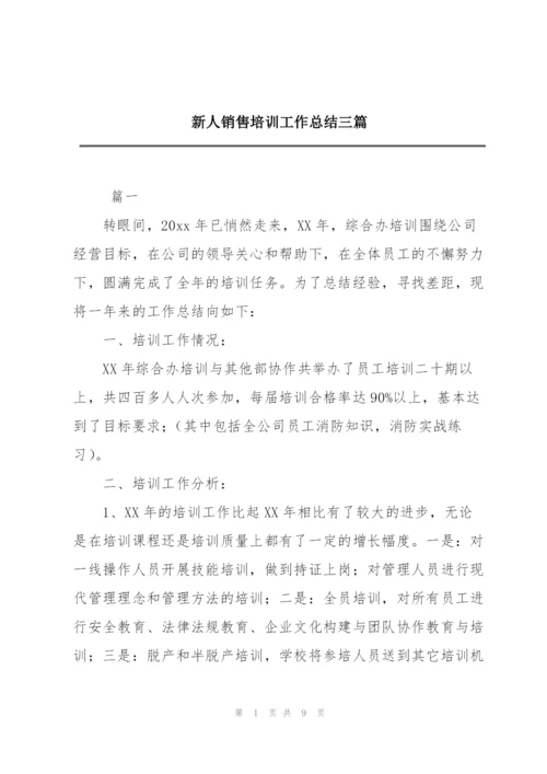 新人销售培训工作总结三篇.docx