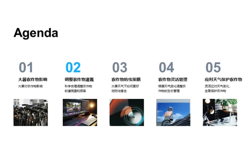大暑护田策