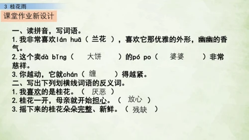 3 桂花雨     课件