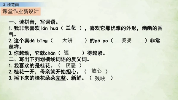 3 桂花雨     课件