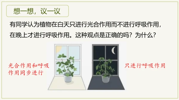 3.5.2 绿色植物的呼吸作用（课件）七年级生物上学期（人教版）(共32张PPT)