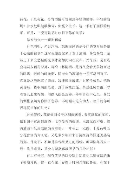 关于荷花的作文.docx