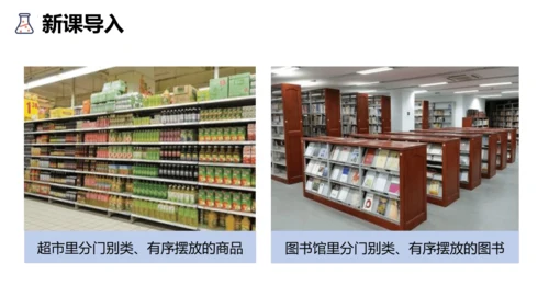 3.3元素课件(共35张PPT)---2024--2025学年九年级化学人教版（2024）上册