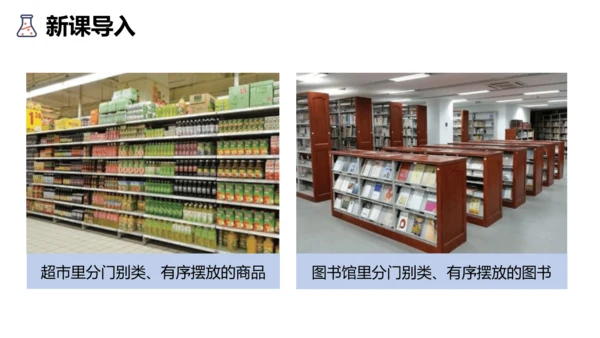 3.3元素课件(共35张PPT)---2024--2025学年九年级化学人教版（2024）上册