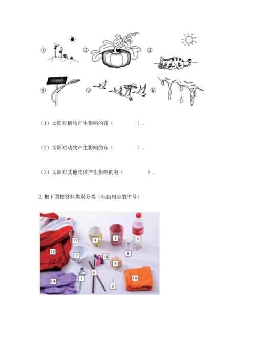 教科版科学二年级上册《期末测试卷》精品（突破训练）.docx