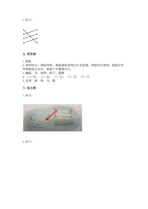 教科版一年级下册科学期末测试卷含完整答案【夺冠】.docx