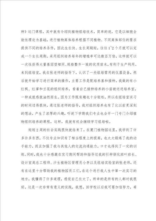 厦门实习总结