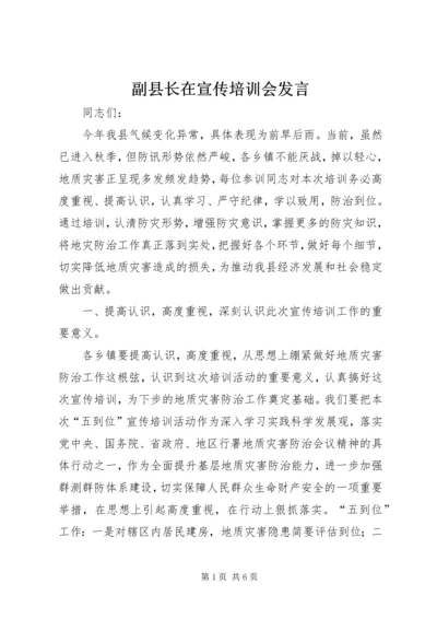 副县长在宣传培训会发言.docx