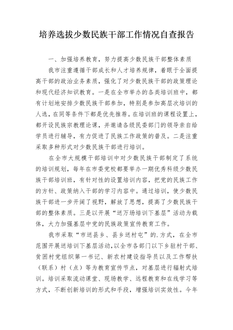 培养选拔少数民族干部工作情况自查报告.docx