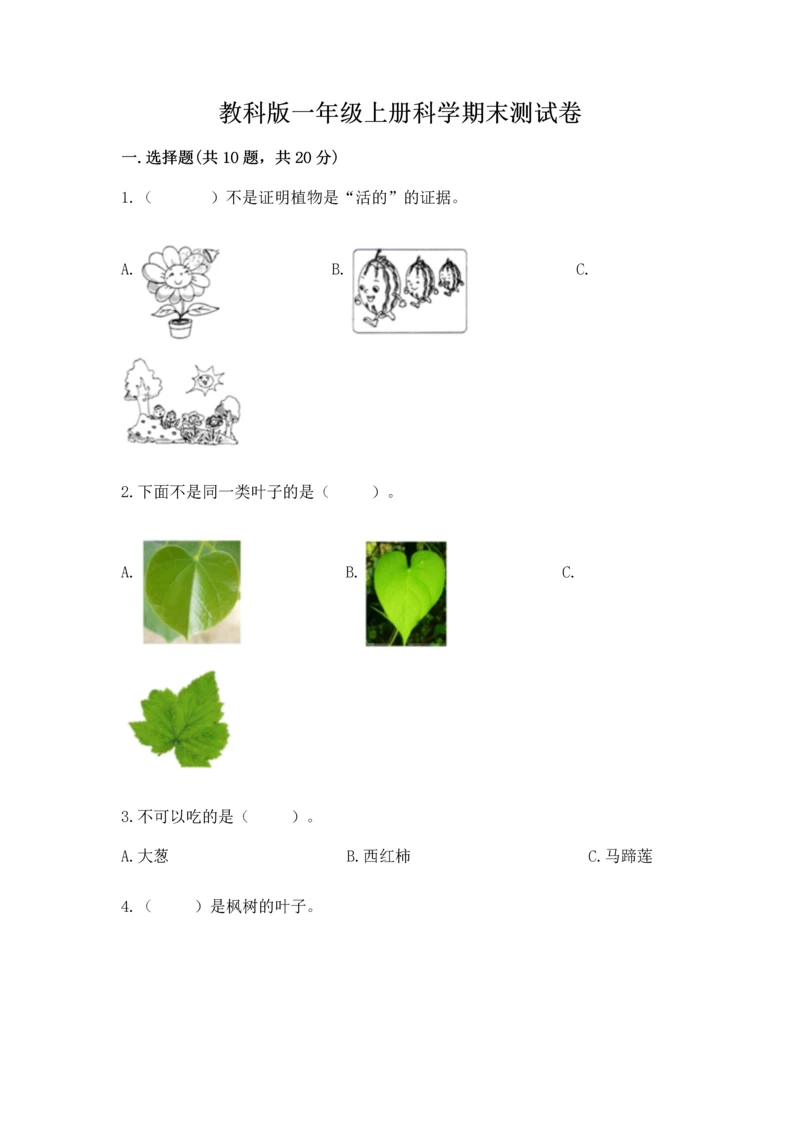 教科版一年级上册科学期末测试卷及完整答案（网校专用）.docx