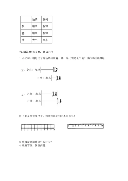 教科版小学一年级上册科学期末测试卷【典优】.docx