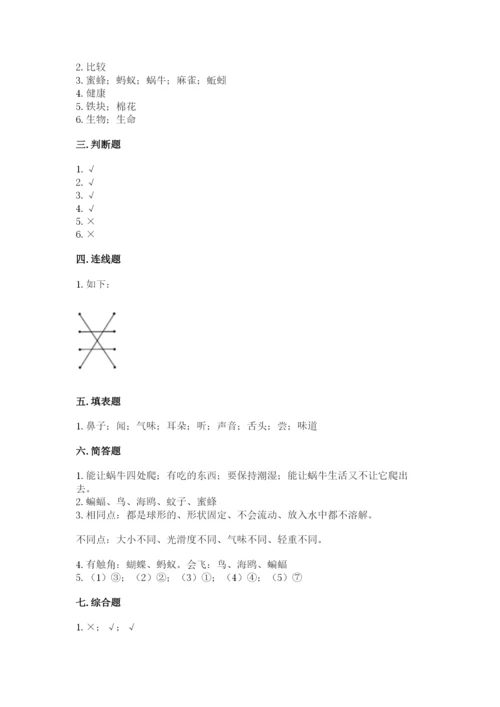 教科版小学科学一年级下册期末测试卷及参考答案【模拟题】.docx