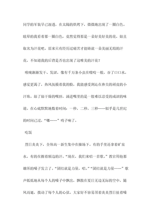 军训剪影作文