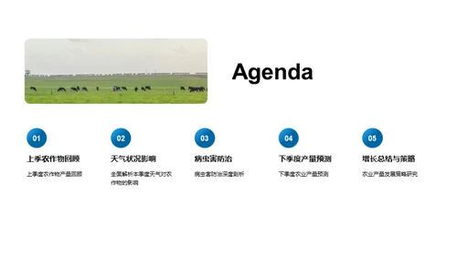 农业产量季度报告