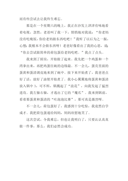 一次难忘的尝试作文300字.docx