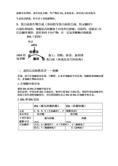 蛋白质知识全面复习