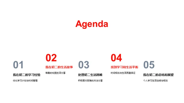 初二生活的探索之旅