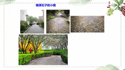 5 《铺满巴掌的水泥道》仿写指导课件