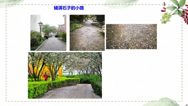 5 《铺满巴掌的水泥道》仿写指导课件