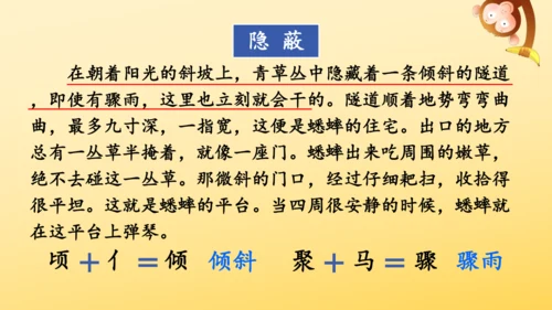 11 蟋蟀的住宅  课件