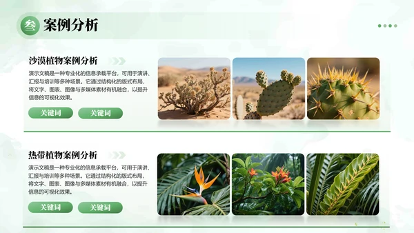 绿植水彩小清新教学通用PPT模板