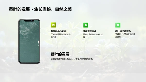 探索植物奇妙生命