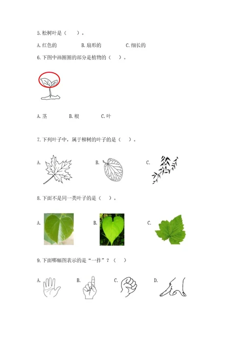 教科版一年级上册科学期末测试卷附答案（b卷）